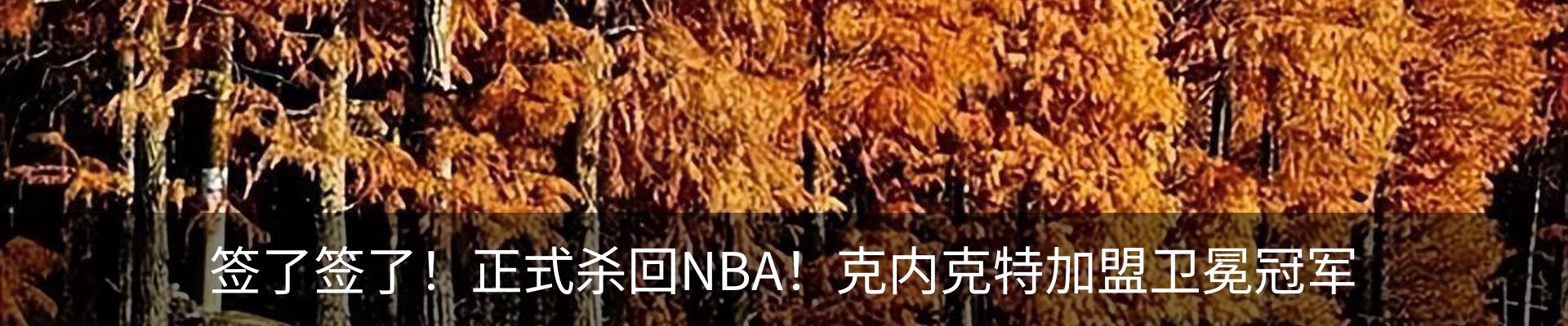 内页banner