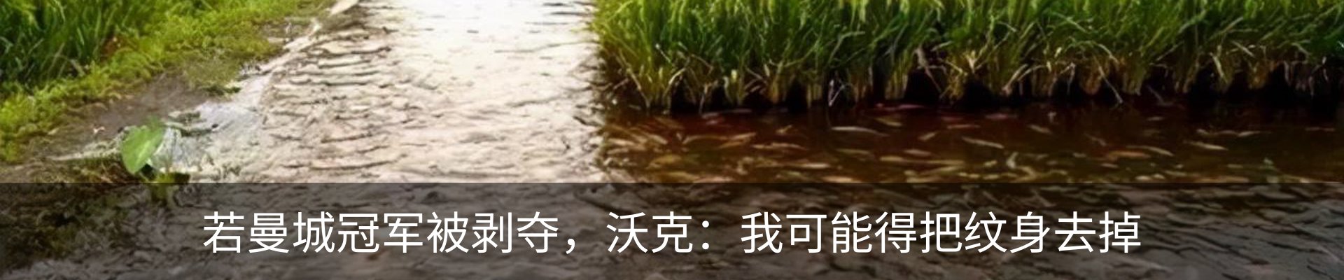 内页banner
